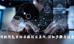 : 如何把钱包里的币提到交易所：详细步骤与注意