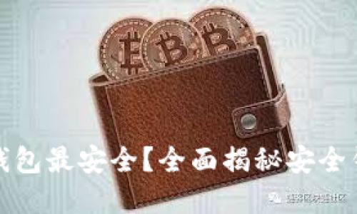 加密货币哪个钱包最安全？全面揭秘安全钱包的选择标准