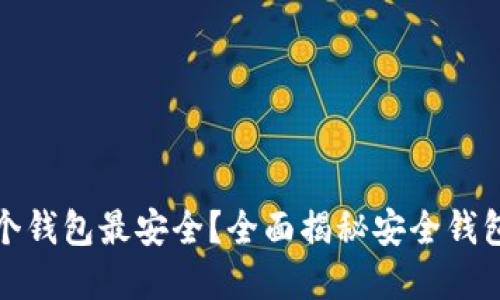 加密货币哪个钱包最安全？全面揭秘安全钱包的选择标准