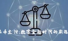  派币支付：数字金融时代的新选择