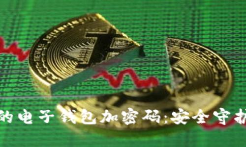 如何给你的电子钱包加密码：安全守护你的资金
