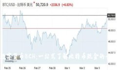 数字货币BCH：一站式了解比特币现金的全部