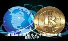 盛源链最新消息与市场动态分析