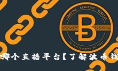 波币钱包是哪个直播平台？了解波币钱包及其影