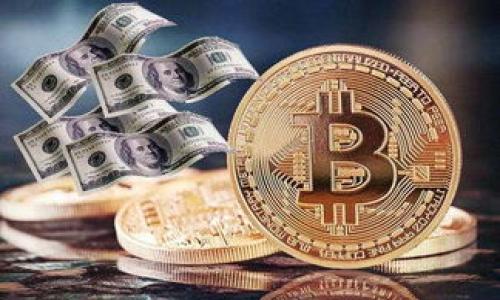 

如何选择适合的区块链钱包：关注SHIB的用户指南