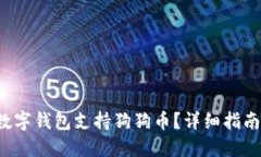  哪个数字钱包支持狗狗币？详细指南与推荐