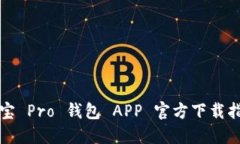 波宝 Pro 钱包 APP 官方下载指南