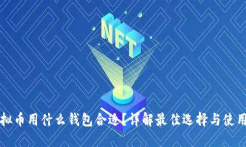 买虚拟币用什么钱包合适？详解最佳选择与使用技巧
