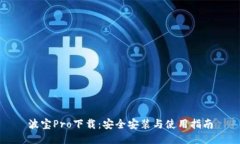 波宝Pro下载：安全安装与使用指南