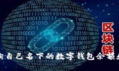 : 如何查询自己名下的数字钱包余额和交易记录