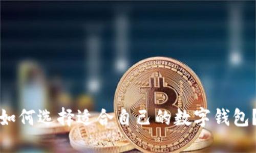 如何选择适合自己的数字钱包？