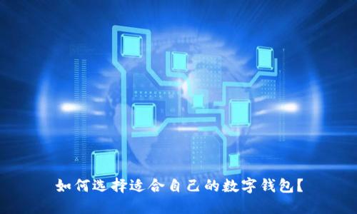 如何选择适合自己的数字钱包？