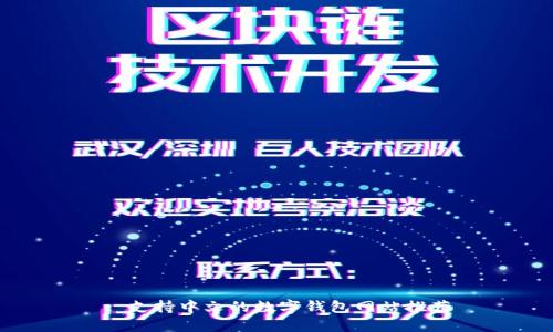: 支持中文的数字钱包网站推荐