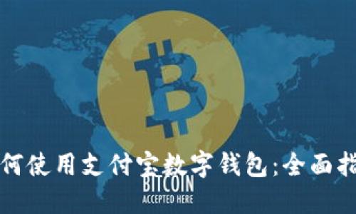 如何使用支付宝数字钱包：全面指南