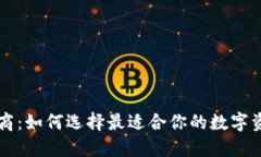 TP钱包服务商：如何选择最适合你的数字资产管理