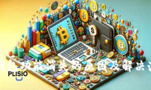 TP钱包功能消失的原因及解决办法