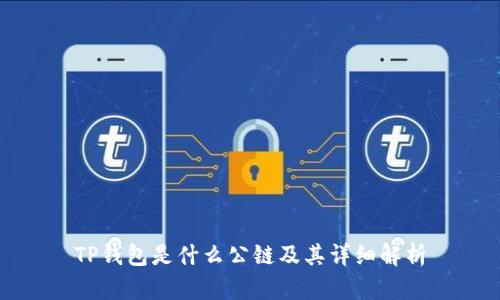 TP钱包是什么公链及其详细解析