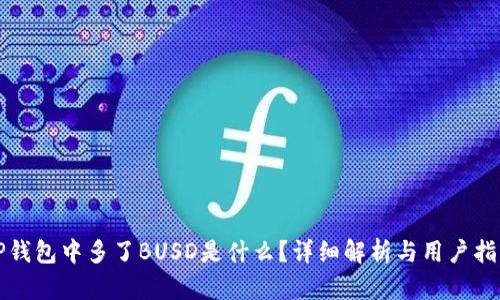 TP钱包中多了BUSD是什么？详细解析与用户指南