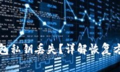 如何应对TP钱包私钥丢失？详解恢复方案与注意事