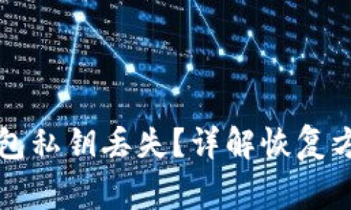 如何应对TP钱包私钥丢失？详解恢复方案与注意事项