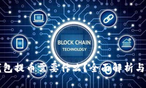 TP钱包提币需要什么？全面解析与指南