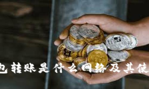 TP钱包转账是什么网络及其使用指南