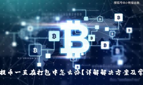 tp钱包提币一直在打包中怎么办？详解解决方案及常见问题