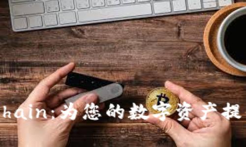深入了解TP钱包与OKChain：为您的数字资产提供最佳安全与管理方案