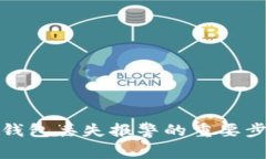 : 如何处理TP钱包丢失报警的重要步骤与注意事项