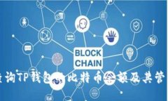 如何查询TP钱包的比特币余额及其管理技巧
