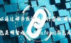   Safepal钱包的特点及使用指南 /  guanjianci Safepal钱