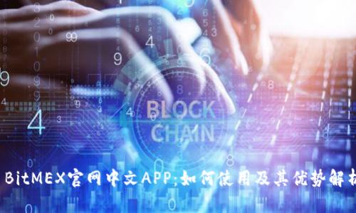  BitMEX官网中文APP：如何使用及其优势解析