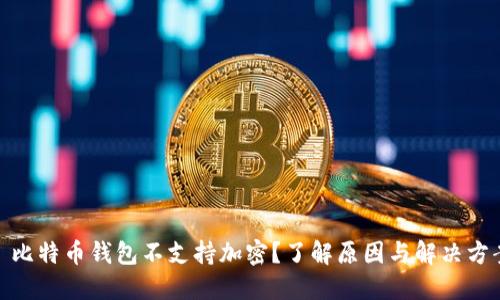 : 比特币钱包不支持加密？了解原因与解决方案