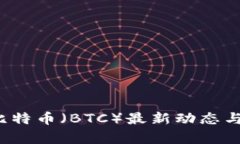 2023年比特币（BTC）最新动态与视频解析