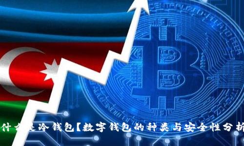 什么是冷钱包？数字钱包的种类与安全性分析