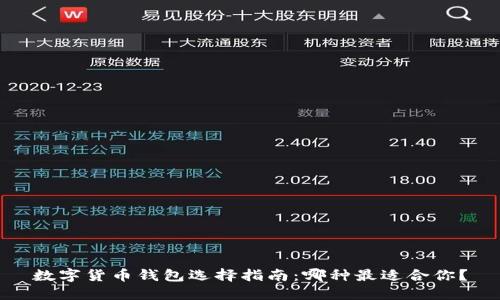 数字货币钱包选择指南：哪种最适合你？