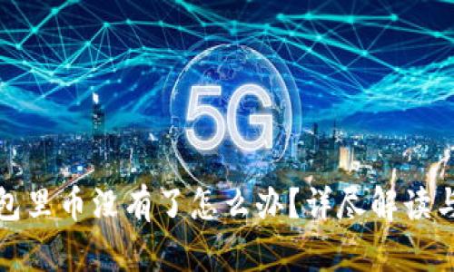 数字币钱包里币没有了怎么办？详尽解读与解决方案