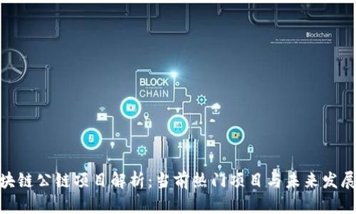 : 区块链公链项目解析：当前热门项目与未来发展趋势