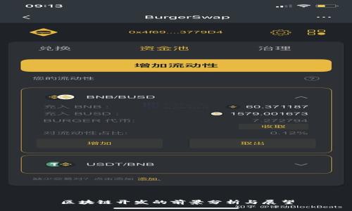 区块链开发的前景分析与展望